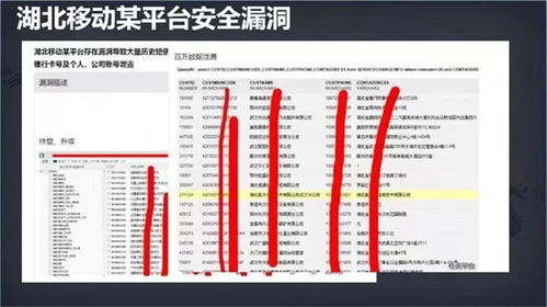 守護數字身份 網絡安全周下，應對個人信息泄露與安全軟件的選擇之道