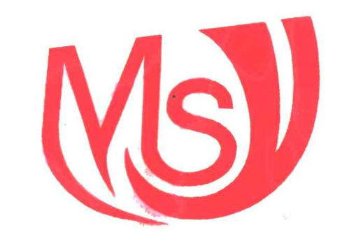 MSY商標(biāo)注冊(cè)查詢與成功率分析指南